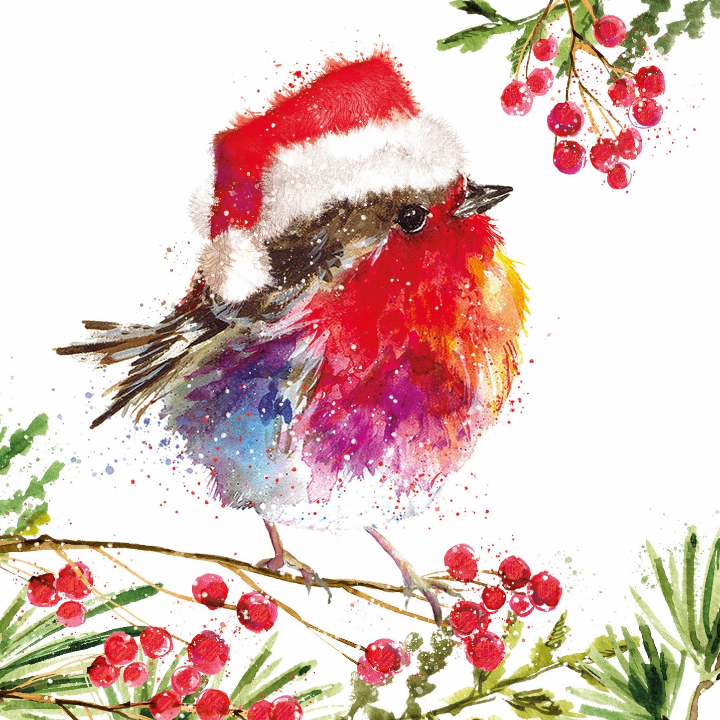 Fluffy Robin and Berries Christmas Cards (Pack of 10)